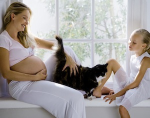 gravidanza, attente ai gatti
