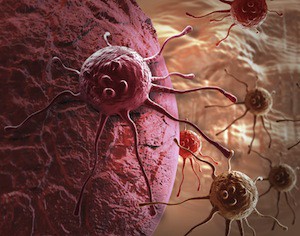 alle origini delle cellule tumorali