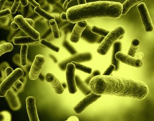 batteri killer per abuso antibiotici