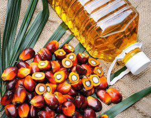 Cosa succede al mio organismo se mangio prodotti con olio di palma?